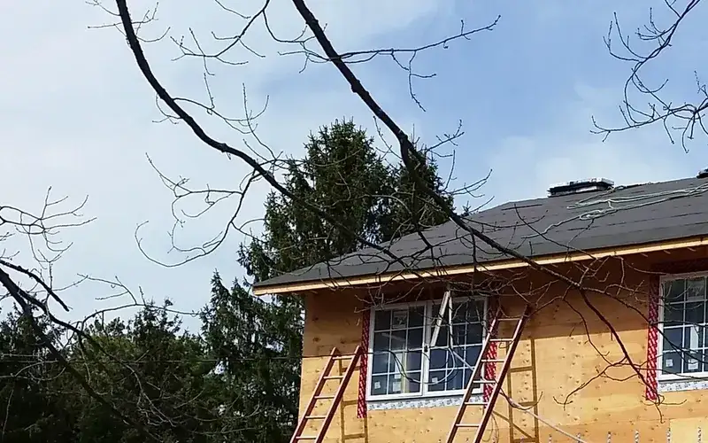Framing Project 21