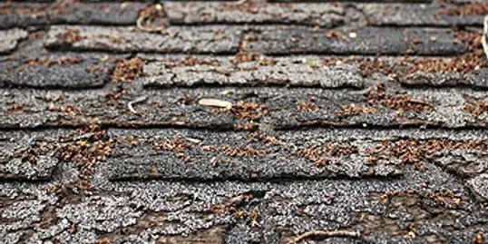 Roofline and exterior conditions that can point to ventilation problems