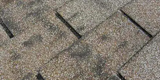 Roof shingles showing wear during inspection